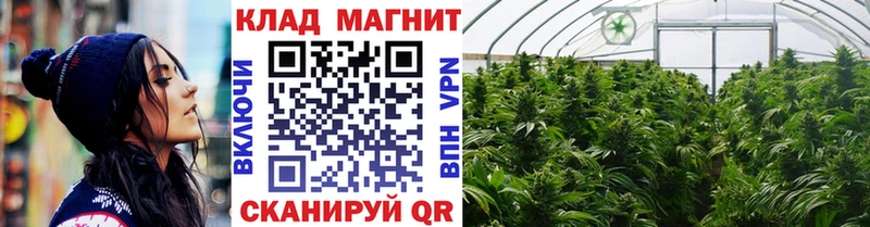 Магазины продажи наркотиков Дубовка Бошки Шишки  АМФЕТАМИН  NBOMe  ГАШИШ 