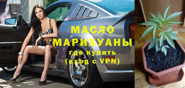 стаф Алексин