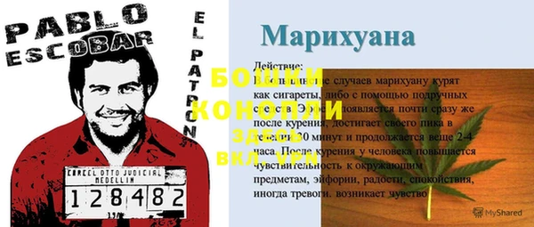 дживик Медногорск