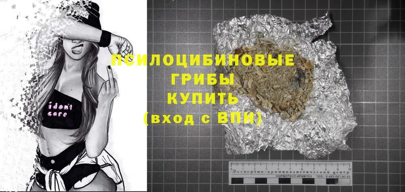 Галлюциногенные грибы Psilocybine cubensis  Дубовка 